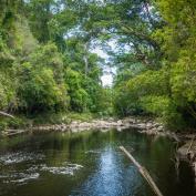 Lake in Taman Negara National Park