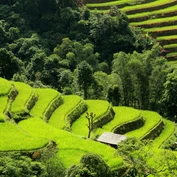 Rice paddies in Ha Giang