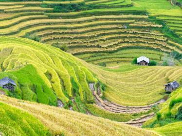 Vietnam hillside