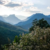 View over Nam Et Phou Louey - Dominique Le Roux
