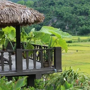 Balcony overlooking rice fields in Mai Chau