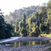 Nam Et Phou Louey landscape