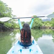 Kayaking in the mangroves