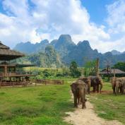 Elephants of Elephant Hills sanctuary, Khao Sok National Park 