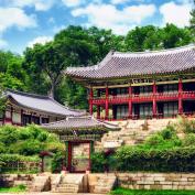 Ornate temple surrounded by trees