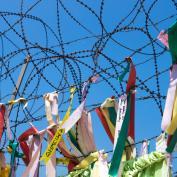 Colourful ribbons on barbed wire