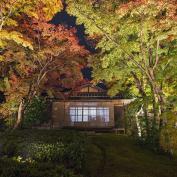 Wooden temple in wood illuminated at night