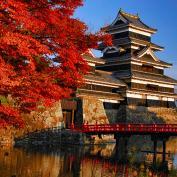 Autumn leaves at Matsumoto castle