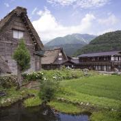 Thatched homes in Shirakawago 