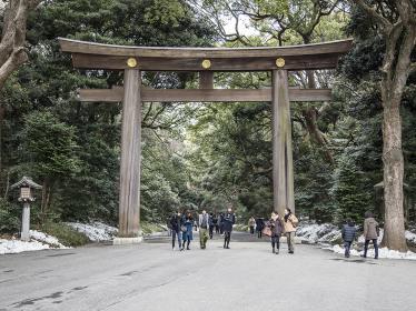 Gateway to Meiji Shrine - David Lovejoy