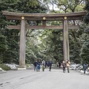 Gateway to Meiji Shrine - David Lovejoy 