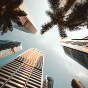 Looking up at skyscrapers and palm trees in Singapore 