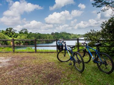 Two bicycles propped up next to fence overlooking lake in Pulau Ubin