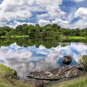 Beautiful blue sky and clouds reflected on a pond in Rikugien garden, surrounded by beautiful greenery