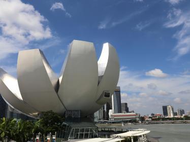 Lotus shaped building on Singapore's waterfront