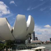 Lotus shaped building on Singapore's waterfront