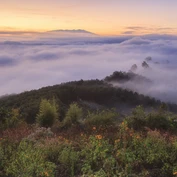 Above the clouds in northern Thailand 