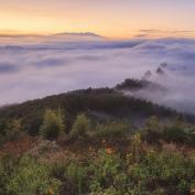 Above the clouds in northern Thailand 