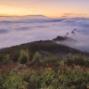 Above the clouds in northern Thailand