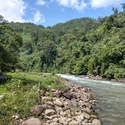 Scenic view of a flowing river bordered by rocks and dense green forest under a blue sky