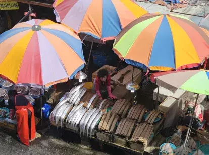 Traditional local fish market under colourful umbrellas in Busan, South Korea