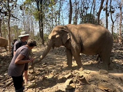 Tourist couple bowing to elephant in Laos sanctuary
