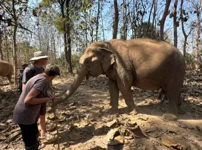 Tourist couple bowing to elephant in Laos sanctuary