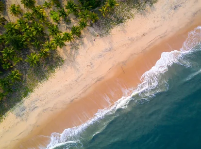 Marari Beach Aerial Shot