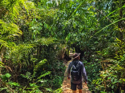 Borneo Bako National Park