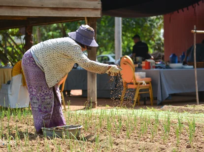 countryside cooking cambodia dry hot month season