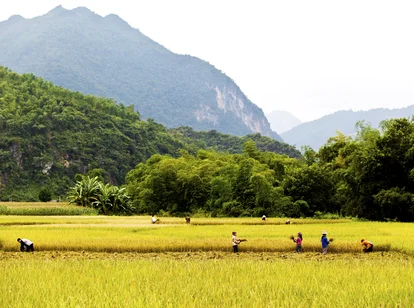 Easia_Travel_Mai_Chau_-_Landscape_and_people_IMG_7652.JPG