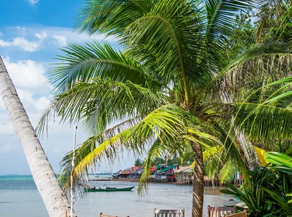 Beachside restaurant seating under a palm tree on a quiet beach in Kep, Cambodia