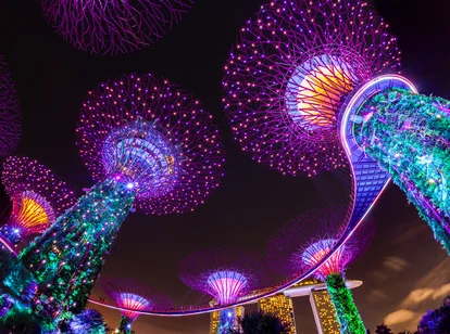 Light show Singapore Sky Trees August