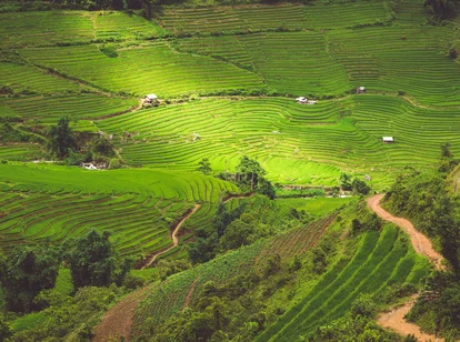 Vietnam_Sapa - Sun on rice terraces 