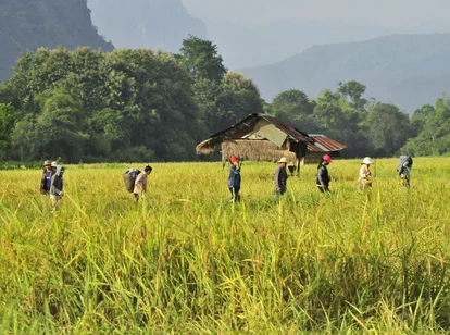People walking through Laos countryside in green season
