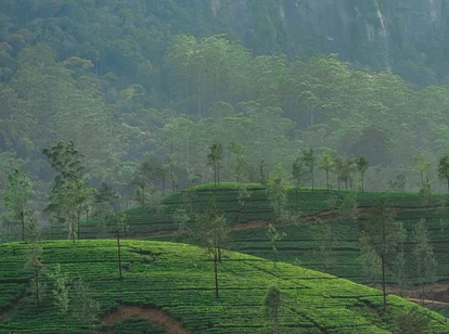 Hill Country, Sri Lanka