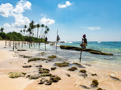 Stilt Fishing, Sri Lanka
