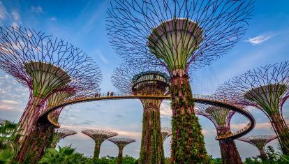 Green walls on Singapore skytrees