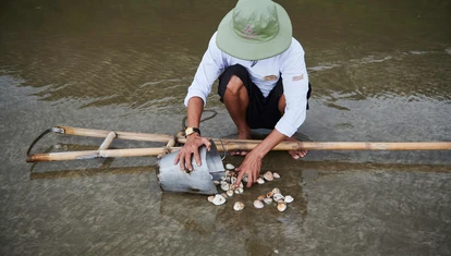 Man in Con Dao beachcoming clambs