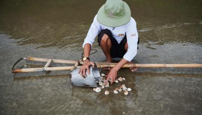 Man in Con Dao beachcoming clambs