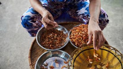 Woman shelling shrimp in Con Dao Vietnam
