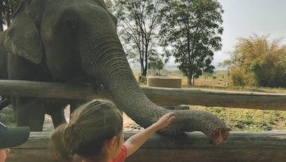 Child tourist with rescued elephant