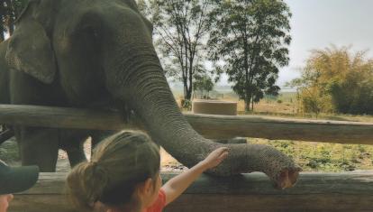 Child tourist with rescued elephant