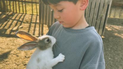 Child holding a rabbit at a Buffalo farm in Laos
