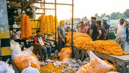 Yellow flower market in Delhi