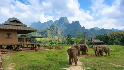 Thailand - Khao Sok National Park - Elephants & Lodge of Elephant Hills