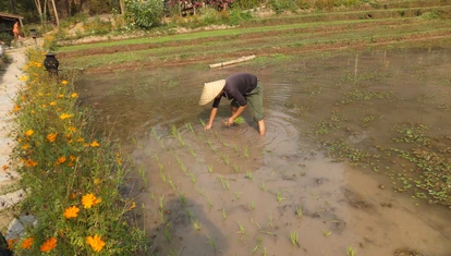 Kamu Lodge Laos