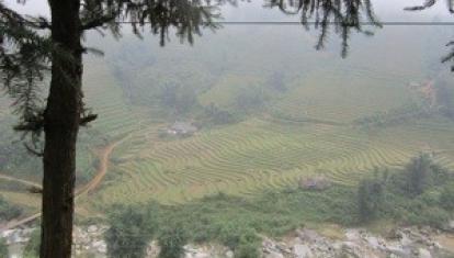 20121120-141403.jpg