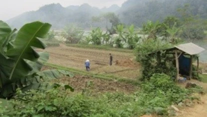 20121120-142058.jpg