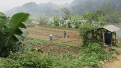20121120-142058.jpg